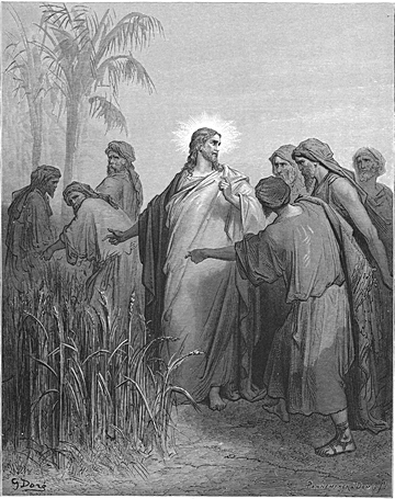 The Disciples Pluck Grain on the Sabbath